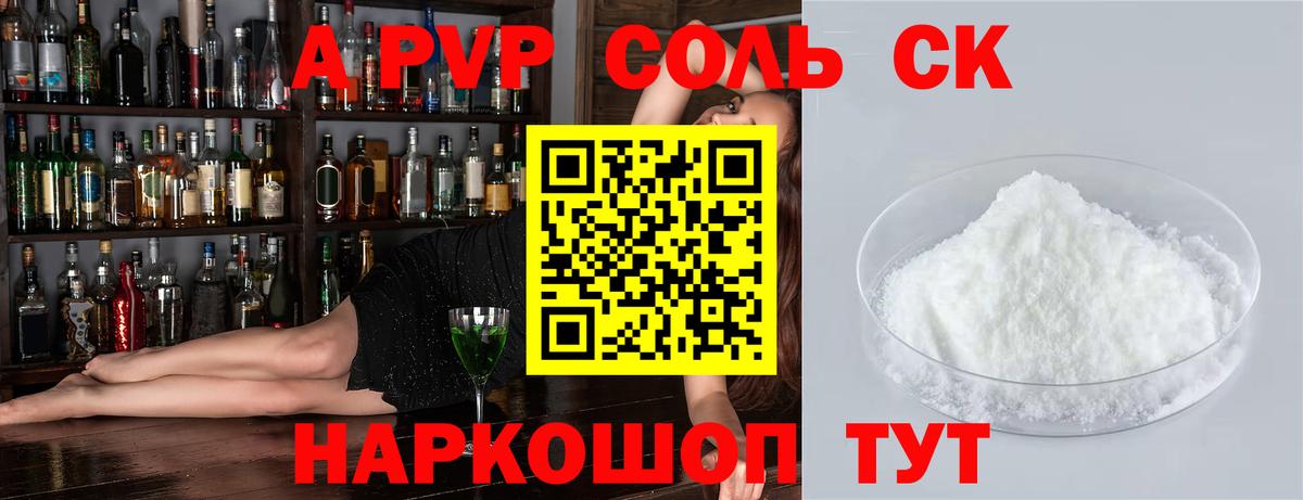 Alfa_PVP СК Сыктывкар