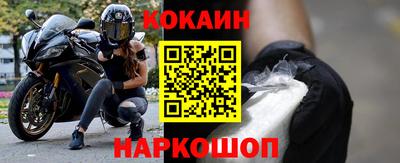 крисы Шебекино
