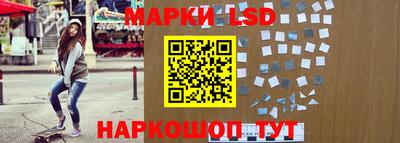 крисы Шебекино