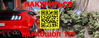 трава Шахты