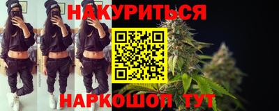 крисы Шебекино