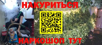 крисы Шебекино