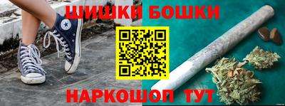 крисы Шебекино