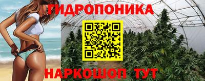 ECSTASY Шелехов