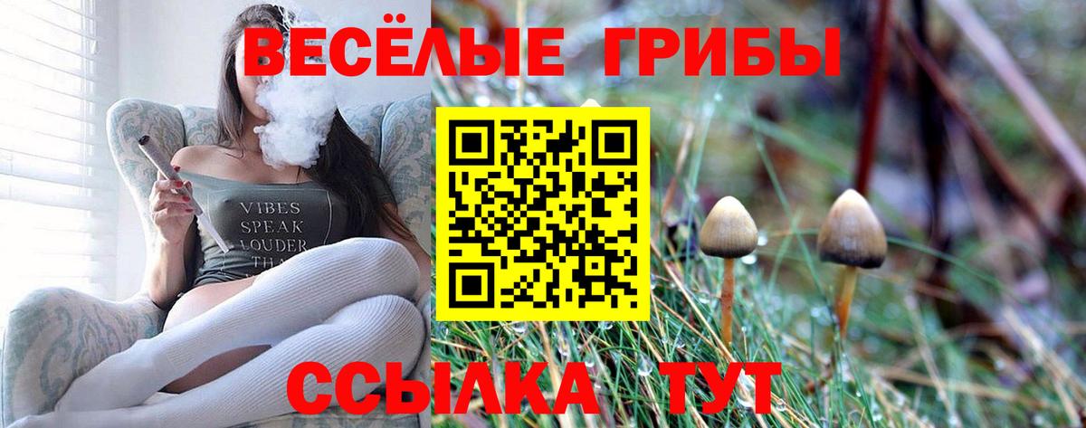 Сыктывкар  где купить наркоту  Вход с VPN  Галлюциногенные грибы Cubensis 
