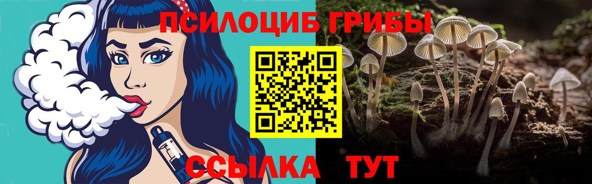 Псилоцибиновые грибы GOLDEN TEACHER Сыктывкар